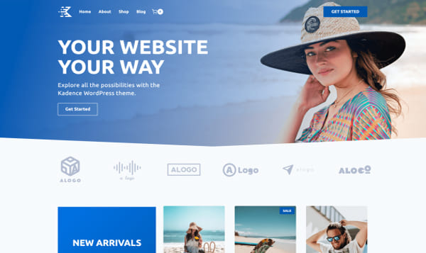 Theme WordPress